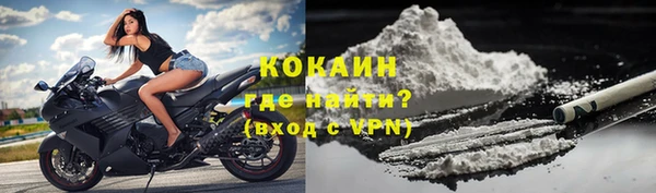 кокс Алексин