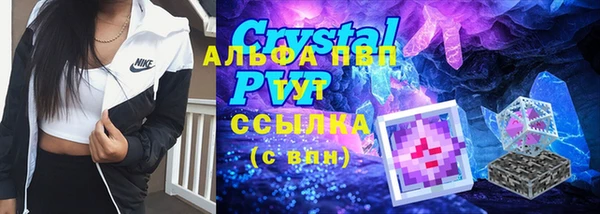 кокс Алексин