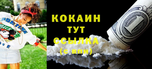 кокс Алексин