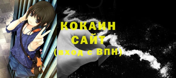 кокс Алексин
