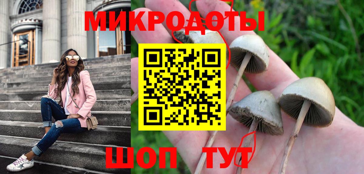 Галлюциногенные грибы Psilocybine cubensis  Вход с VPN  Лысьва 